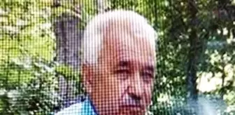 Son dakika haber | Kestiği ağaç babasının ölümüne neden oldu