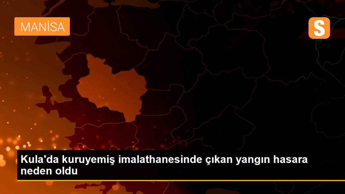 Kula\'da kuruyemiş imalathanesinde çıkan yangın hasara neden oldu