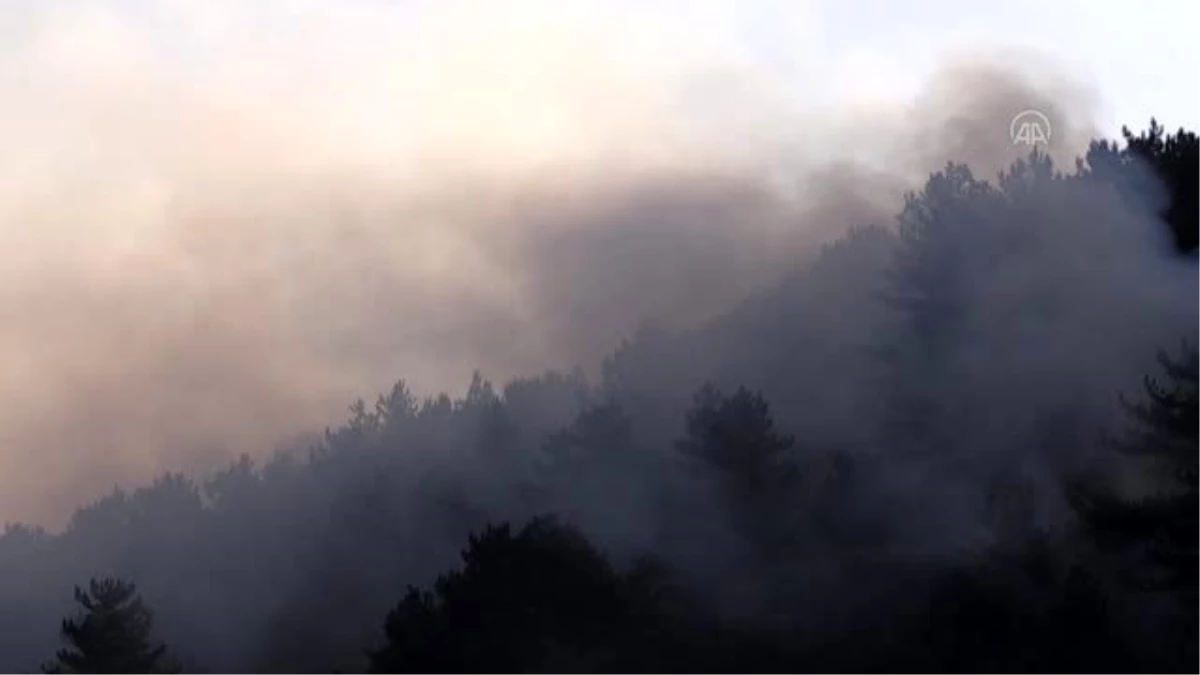 Bolu\'da çıkan orman yangını söndürüldü