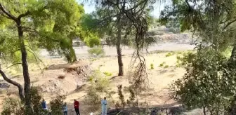 Orman yangınına müdahale eden ekipler, yanmış erkek cesedi buldu