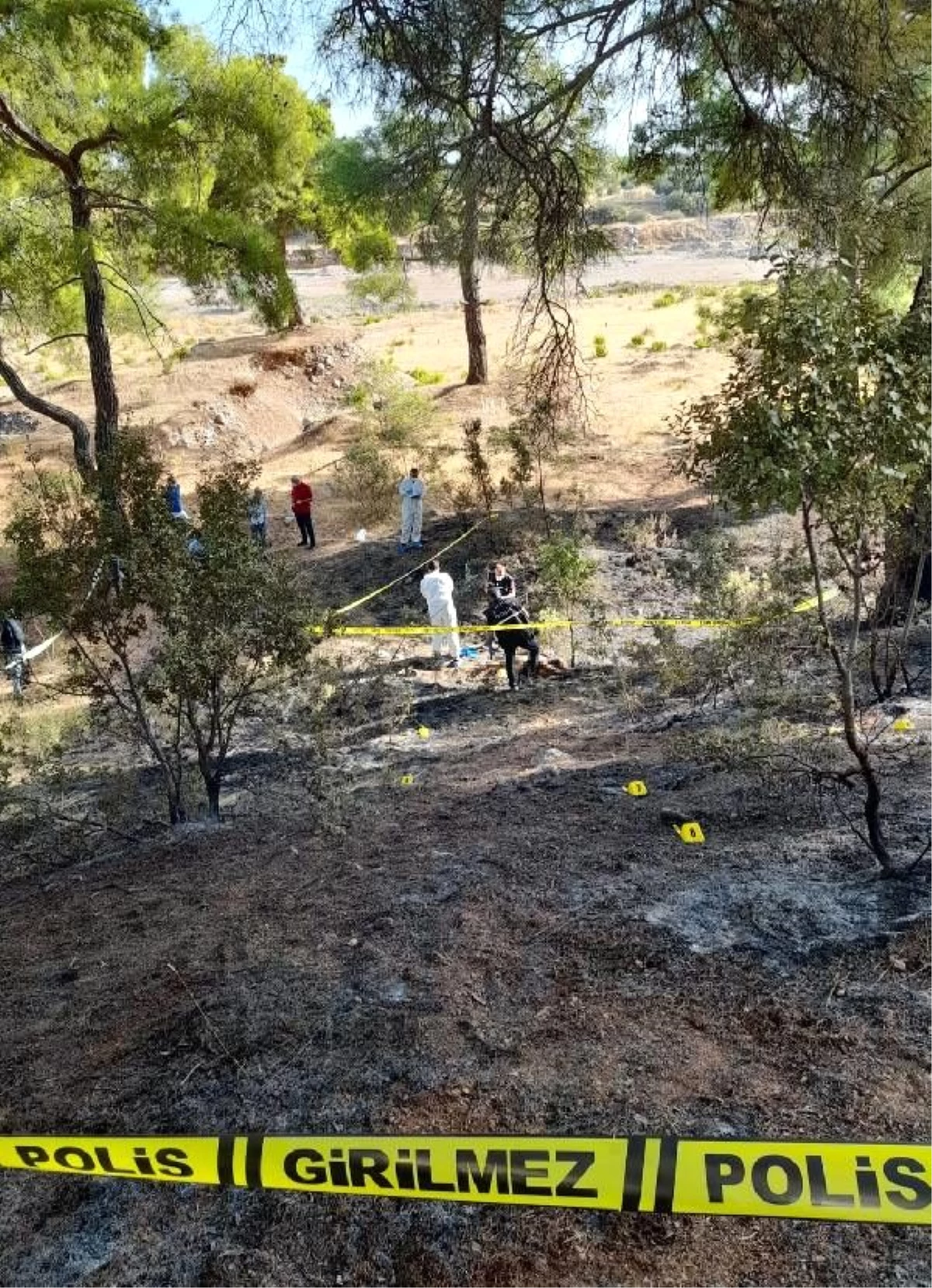Orman yangınına müdahale eden ekipler, yanmış erkek cesedi buldu