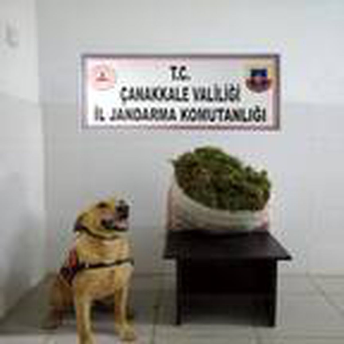 \'Roket\'li aramada uyuşturucu ele geçirildi
