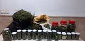 Son dakika haber... Sakarya'da jandarmadan uyuşturucu operasyonu; 10 kilo esrar bulundu