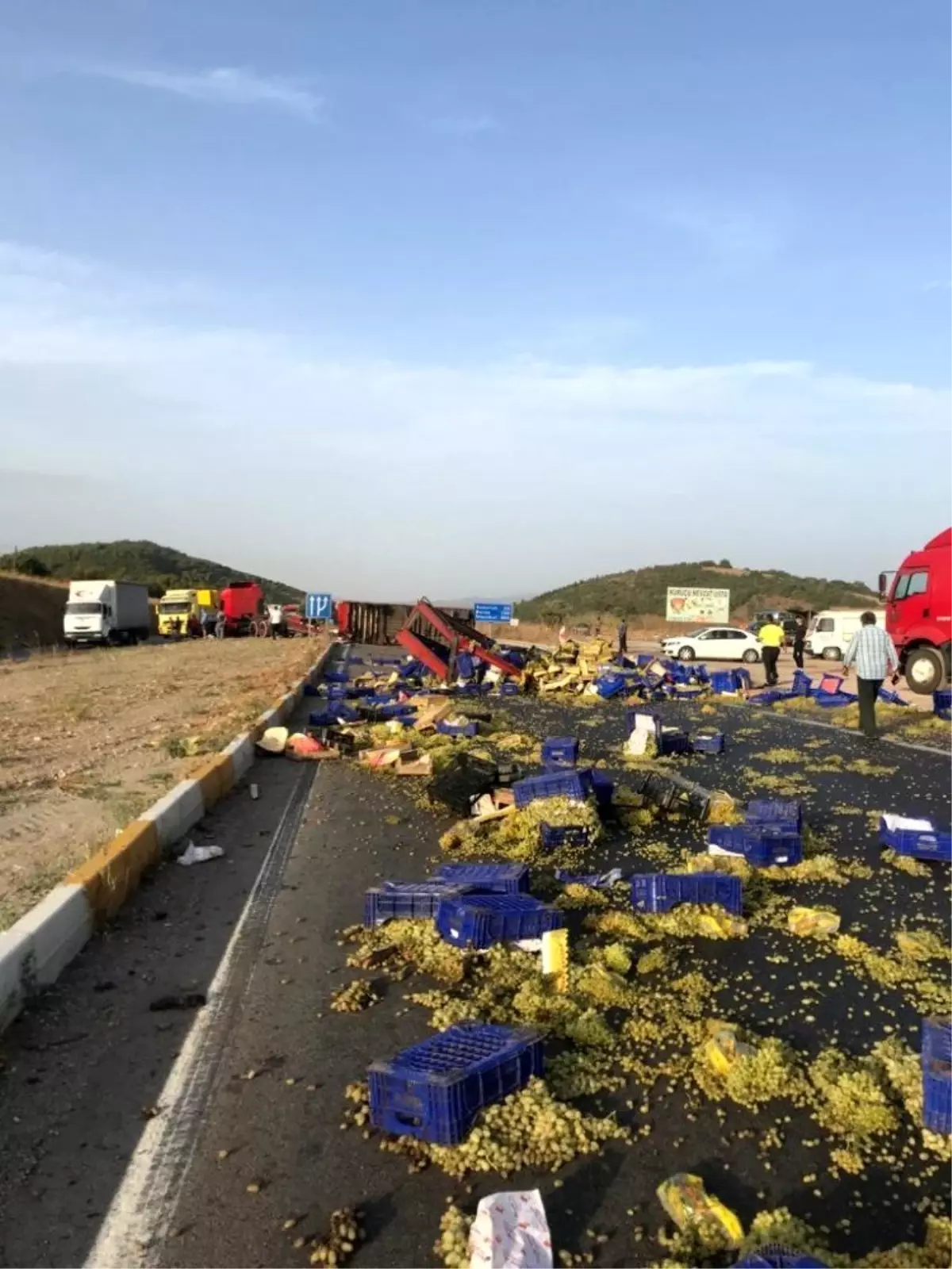 Tırın dorsesi devrildi, yol üzüm tarlasına döndü