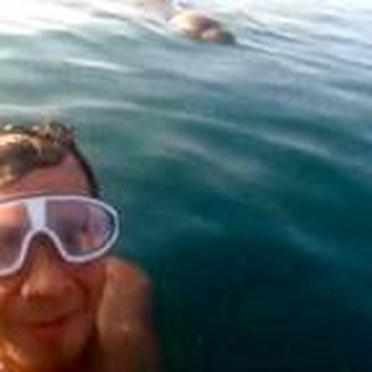 Akdeniz fokuyla selfie