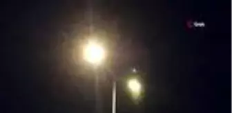 Bingöl'de ilçeyi istila eden böcekler, kanatlı karınca çıktı