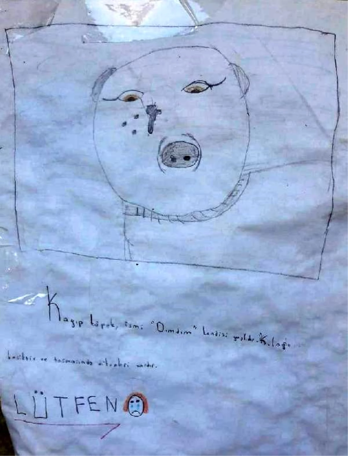 Çocuklar, kayıp köpekleri \'Dımdım\'ı resmini çizdikleri el ilanıyla arıyor