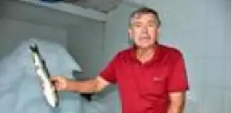 Dalyan kefaline Dubai'den de talep geldi