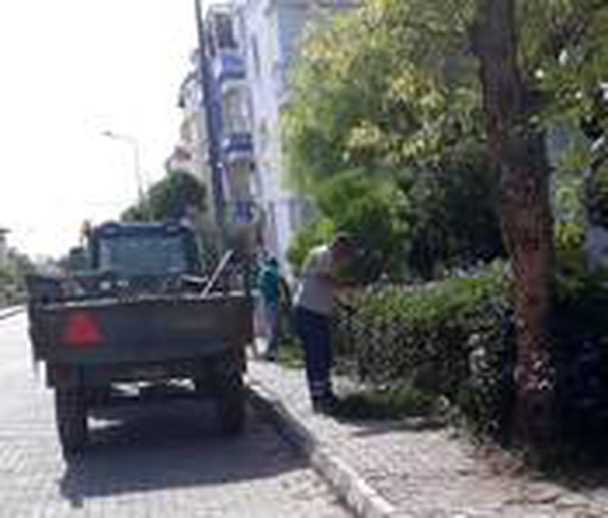 Didim\'de çevre temizliği çalışmaları devam ediyor