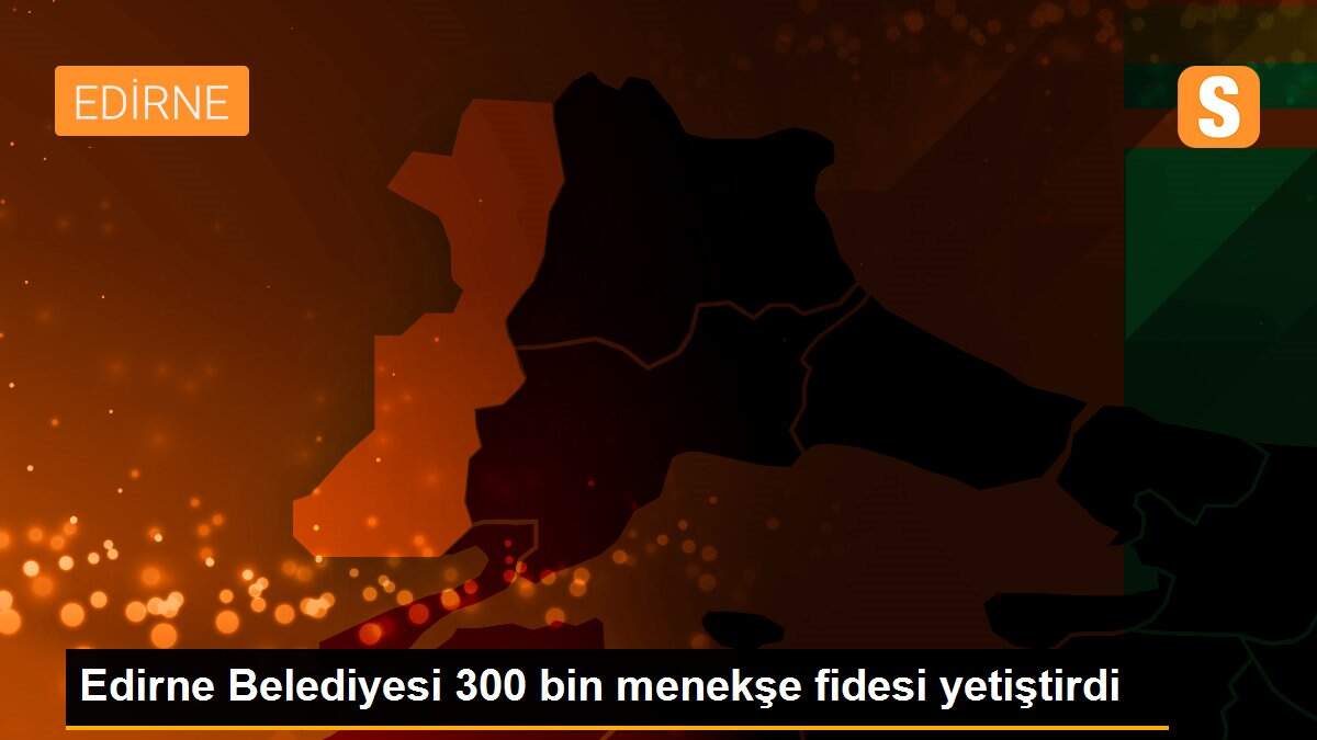 Edirne Belediyesi 300 bin menekşe fidesi yetiştirdi
