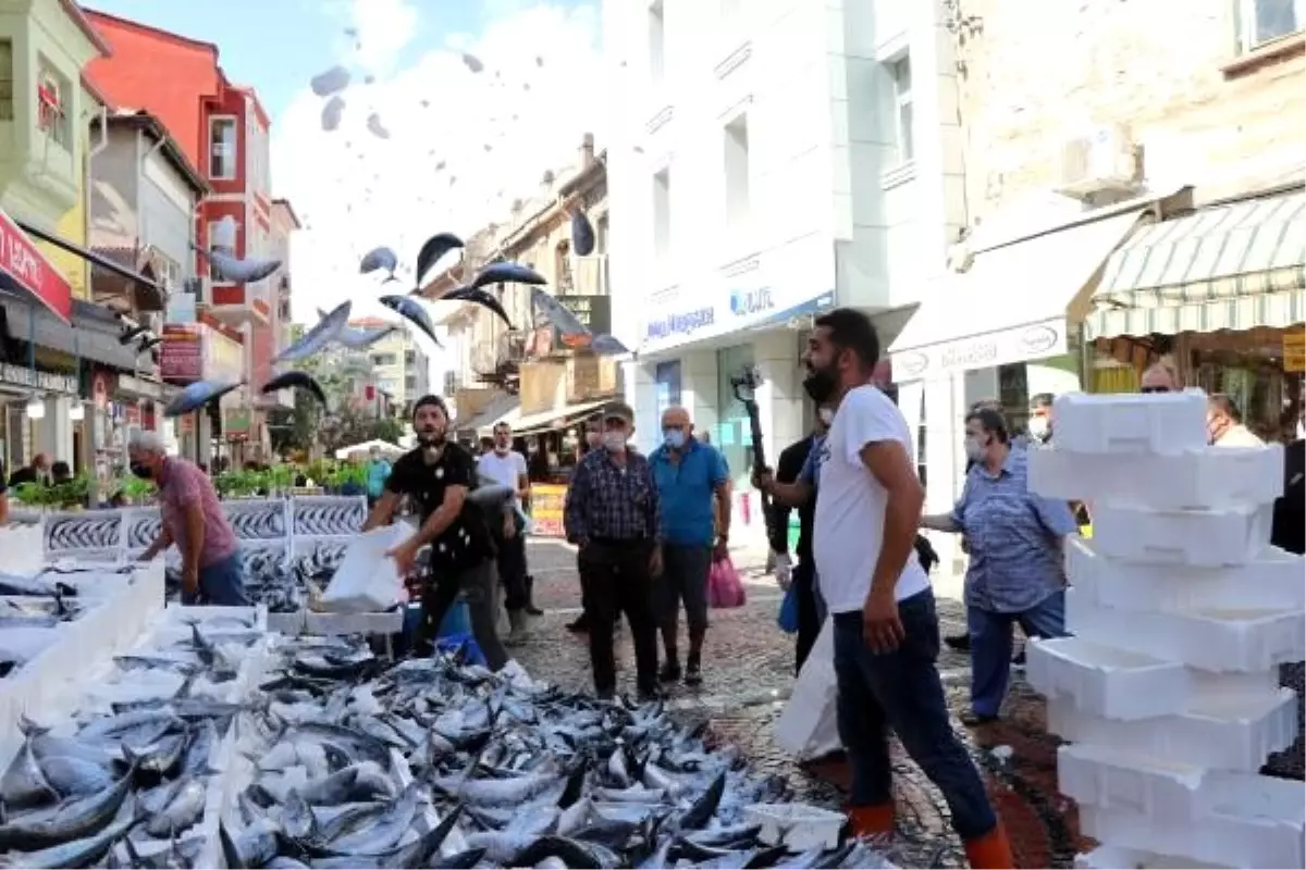 Edirne\'de, palamut tezgahlarda 10 liraya kadar düştü