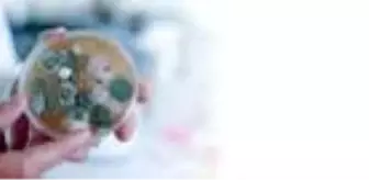 Ev tozu araştırmasının sonuçları açıklandı; evlerin yüzde 93'ünde ağır metaller bulundu