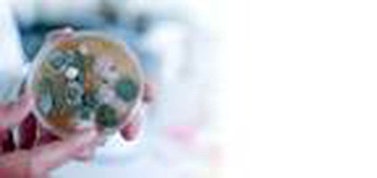 Ev tozu araştırmasının sonuçları açıklandı; evlerin yüzde 93\'ünde ağır metaller bulundu