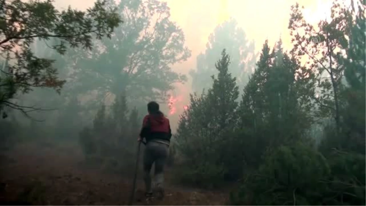 Hisarcık ilçesinde ormanlık alanda çıkan yangın kontrol altına alındı