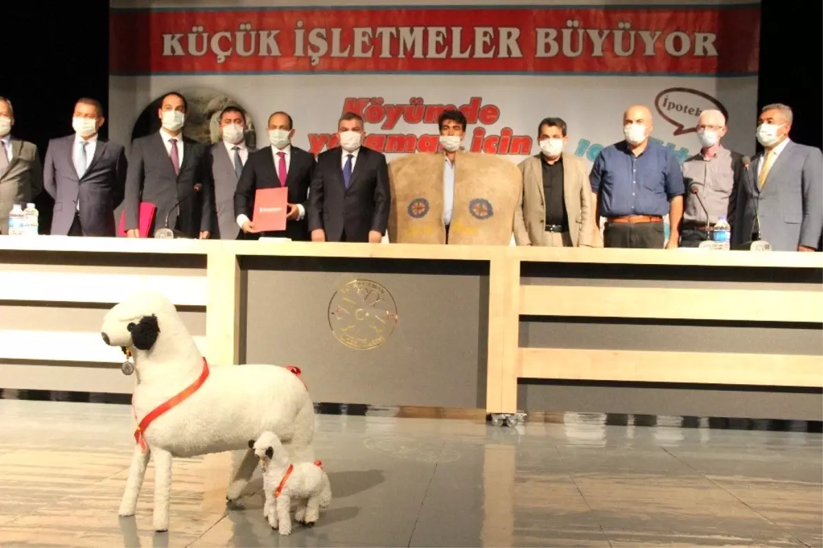 Karaman\'da hayvancılık projesinin protokolü imzalandı