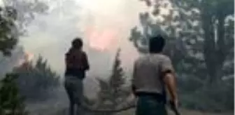 DHA YURT BÜLTENİ - 19