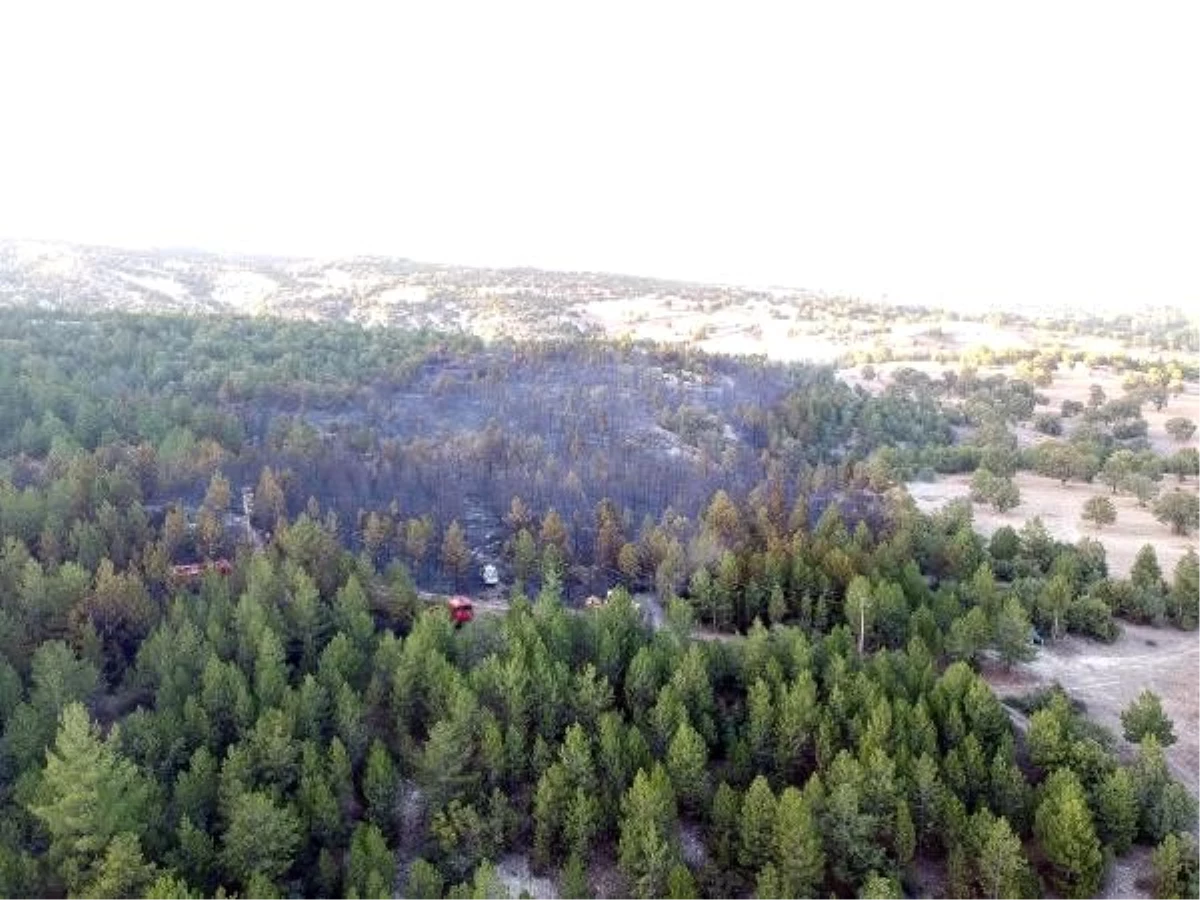 Kütahya\'da orman yangını erken müdahale ile kontrol altına alındı (Drone + Aktüel)