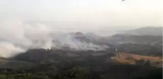 Son dakika haberleri | Manisa'daki orman yangınına karadan müdahale devam ediyor