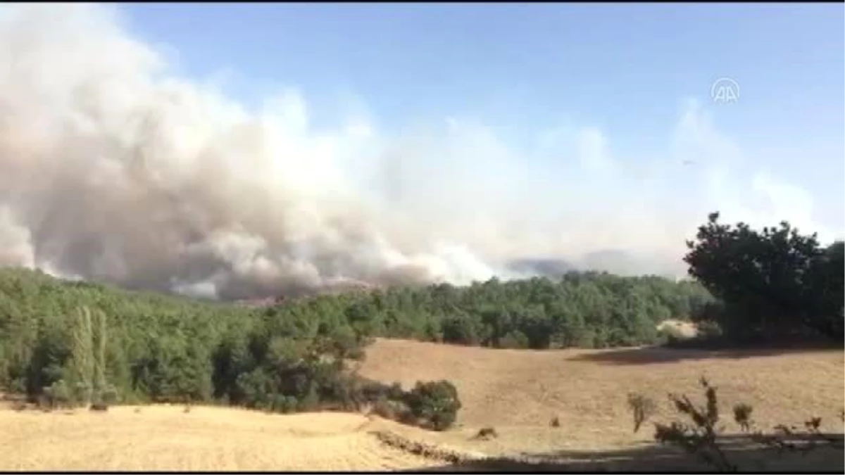 Manisa\'da çıkan orman yangınına karadan müdahale devam ediyor
