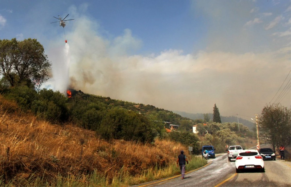 Son dakika haber: Ormancı türküsünün yakıldığı mahallede korkutan yangın