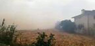 Son dakika haberi! Sakarya'da 3 farklı yerde yangın