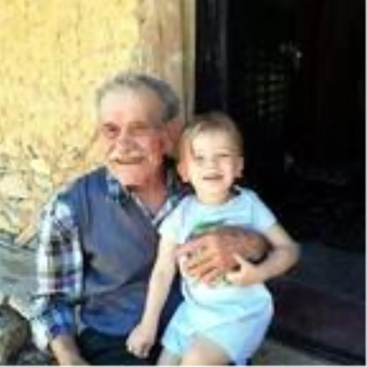 Simav\'da ağaçtan düşen 2 kişiden 1\'i öldü diğeri yaralandı