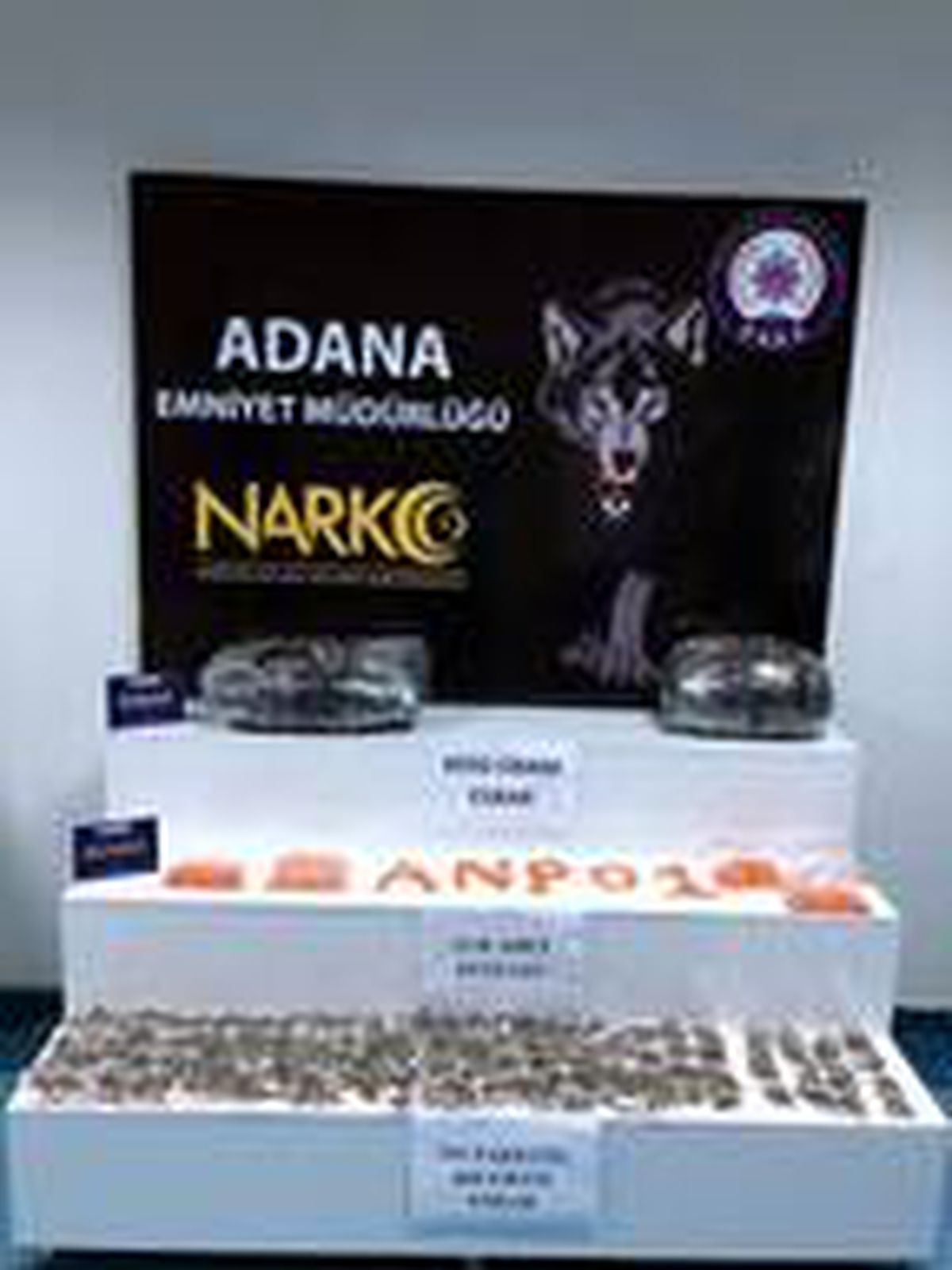 Adana\'da \'torbacı\' operasyonuna 1 tutuklama
