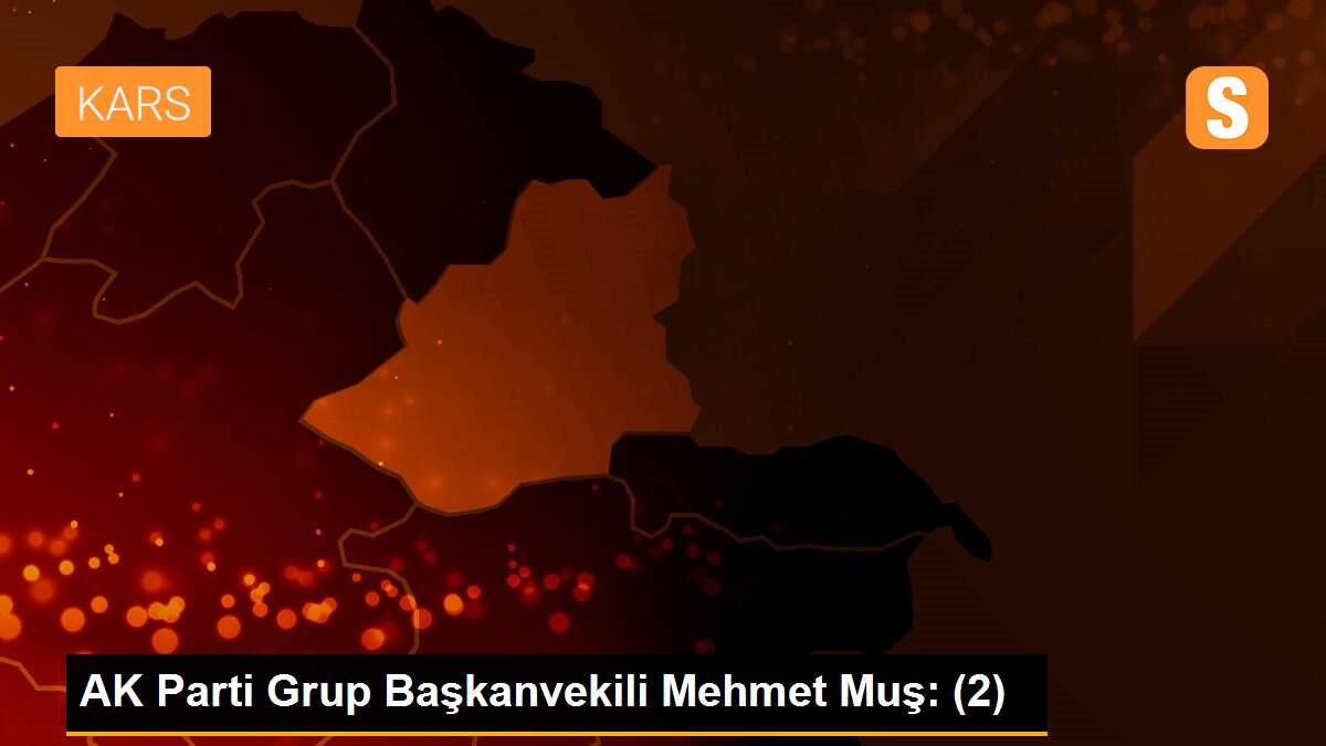 AK Parti Grup Başkanvekili Mehmet Muş: (2)