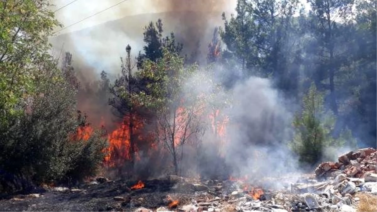 Akli dengesi yerinde olmayan kişi ormanı yaktı