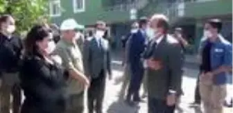 Cudi Dağı'nda ceylanlar gezecek