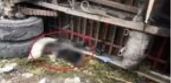 Devrilen kamyonun altında kalan sürücü öldü