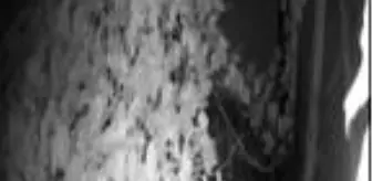 GÜNGÖREN'DEKİ ÇELİK KASA HIRSIZLARI KAMERADA