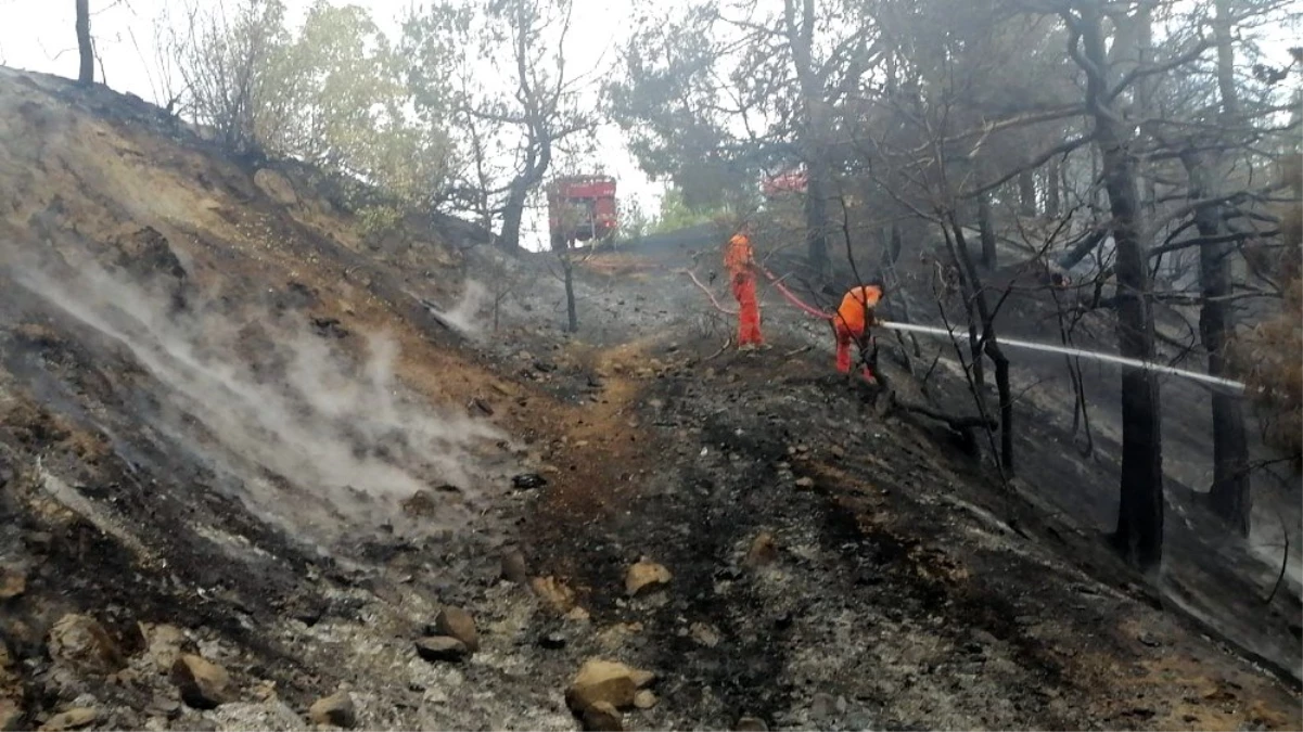 Kahramanmaraş\'ta 1 hektar ormanlık alan zarar gördü