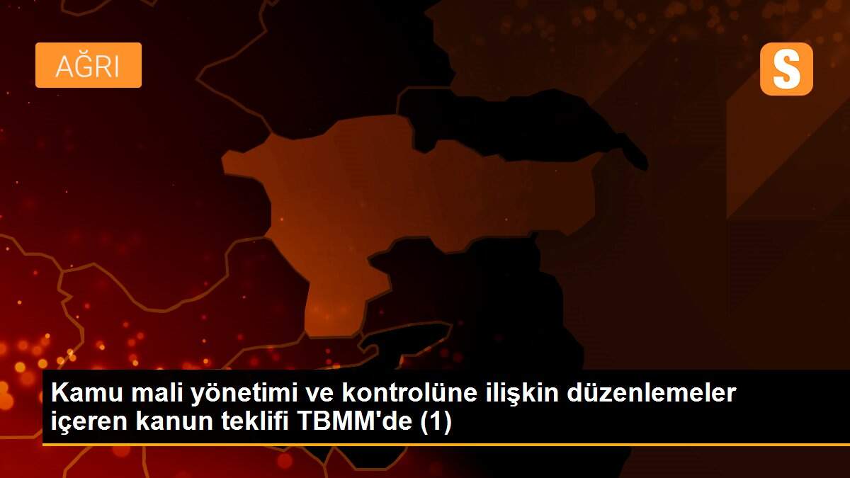 Kamu mali yönetimi ve kontrolüne ilişkin düzenlemeler içeren kanun teklifi TBMM\'de (1)