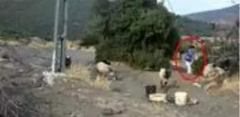 Keçi otlatan lise öğrencisine cinsel saldırıda bulunan sanık 4 ay sonra tahliye edildi