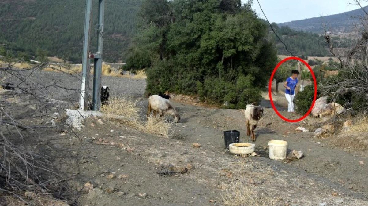 Keçi otlatan lise öğrencisine cinsel saldırıda bulunan sanık 4 ay sonra tahliye edildi