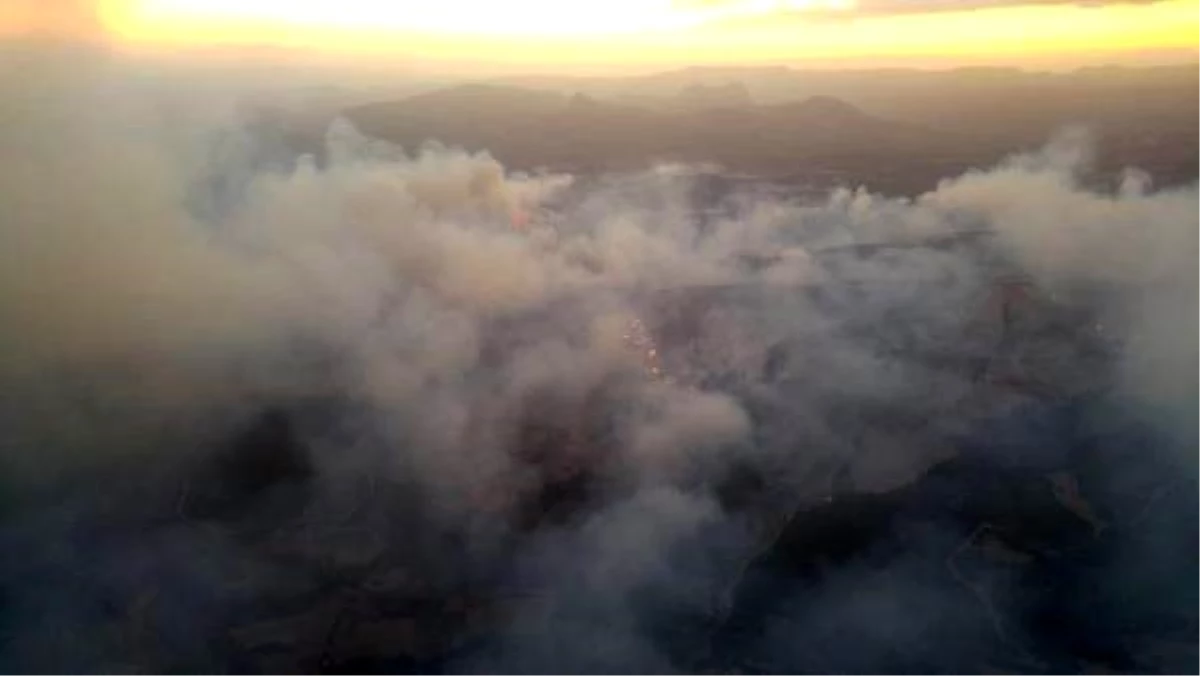 Manisa\'daki orman yangını 21 saatte kontrol altına alındı; 50 hektar zarar gördü