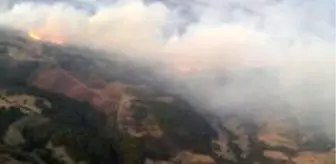 Son dakika haber | Manisa'daki orman yangını kontrol altına alındı