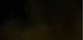 Sarıkamış'a inen ayılar, cep telefonuyla görüntülendi