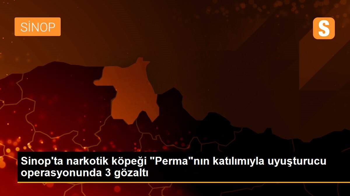 Son dakika haberleri: Sinop\'ta narkotik köpeği "Perma"nın katılımıyla uyuşturucu operasyonunda 3 gözaltı
