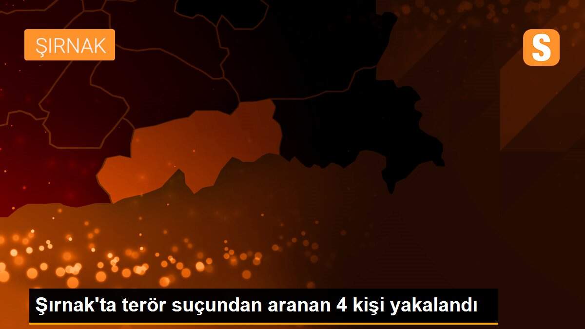 Şırnak\'ta terör suçundan aranan 4 kişi yakalandı
