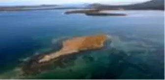 Taşlı Ada'nın 'Kesin korunacak' alan ilan edilmesi Ayvalıklıları sevindirdi