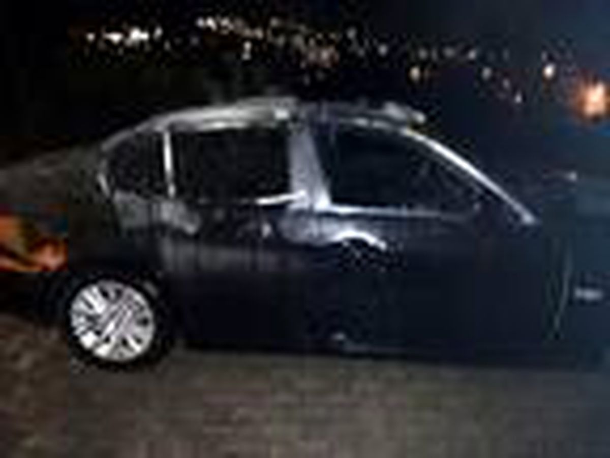 Bodrum\'da park halindeki otomobilde yangın