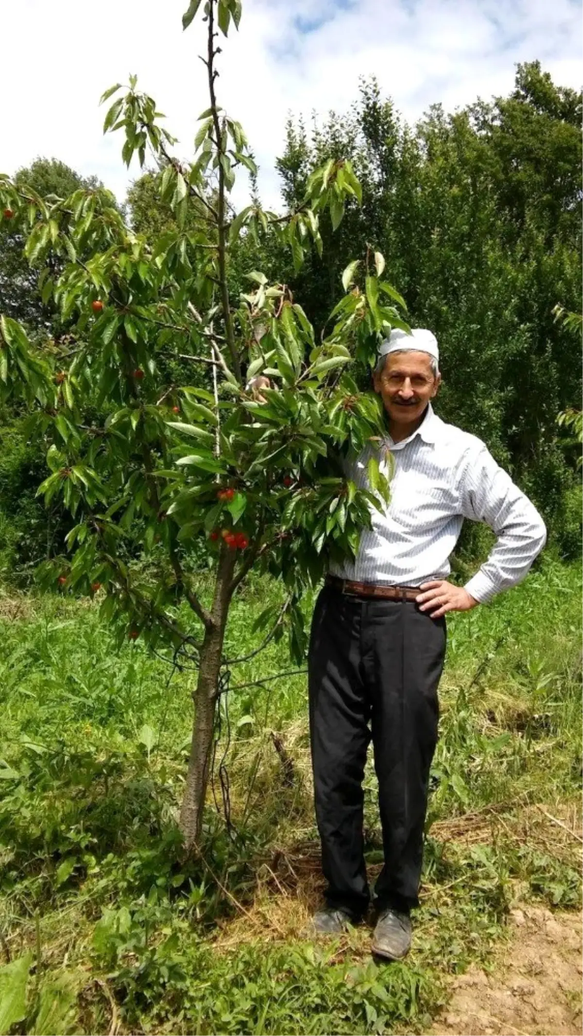 Son dakika haberleri! Ceviz toplarken ağaçtan düşen şahıs hayatını kaybetti