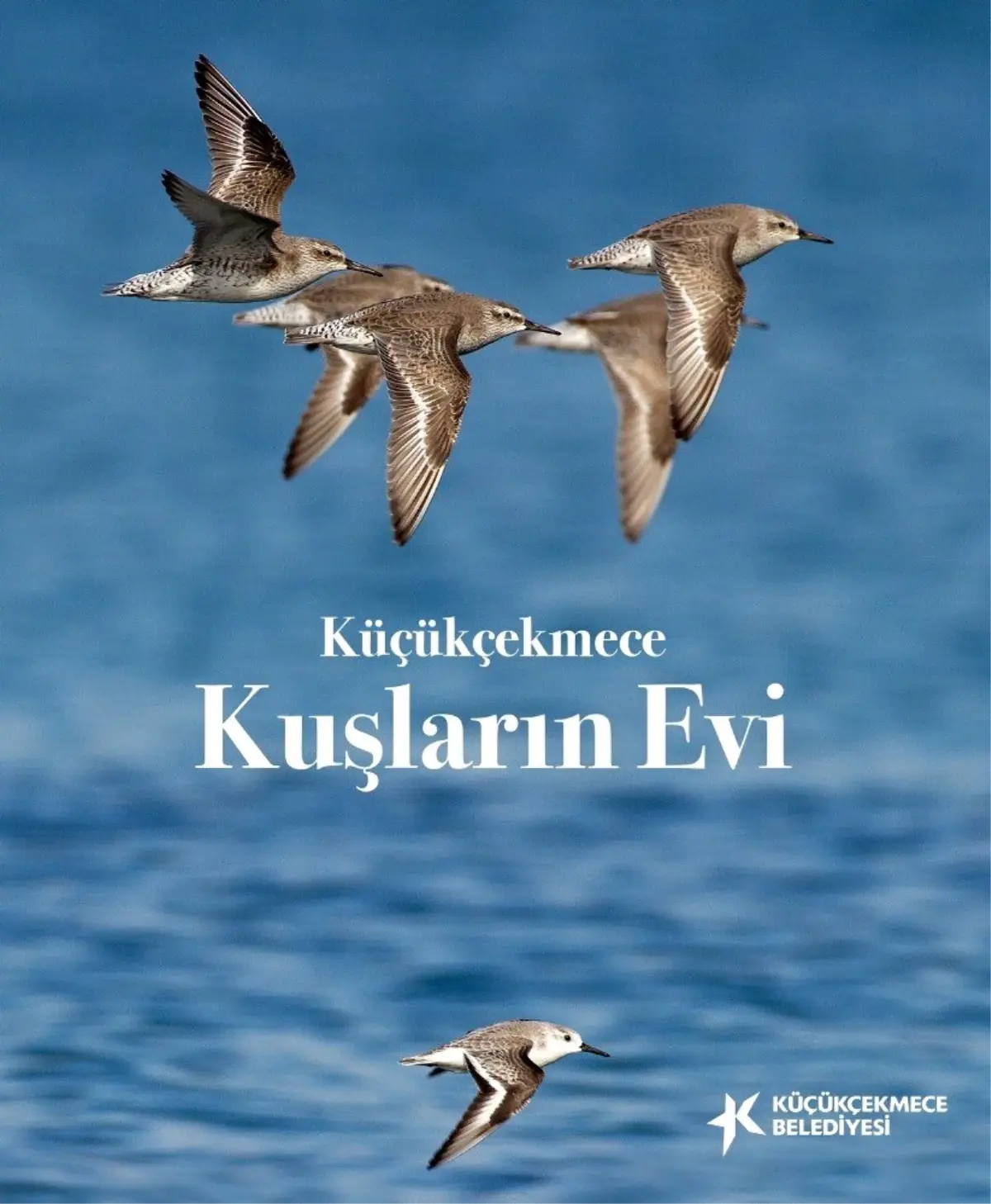 Küçükçekmece Belediyesinden, \'Küçükçekmece kuşların evi\' eseri