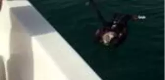 Kuşadası'nda yılan kartalı için seferberlik