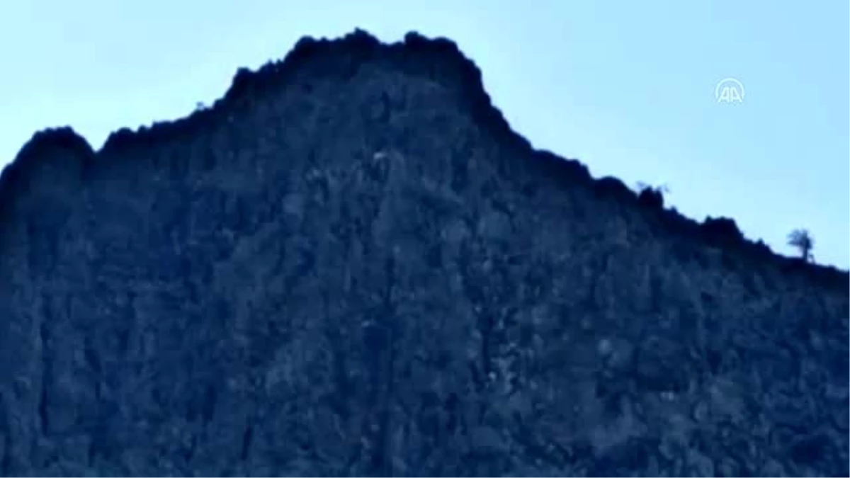 Madra Dağı\'nda mahsur kalan 7 keçiyi itfaiye kurtardı