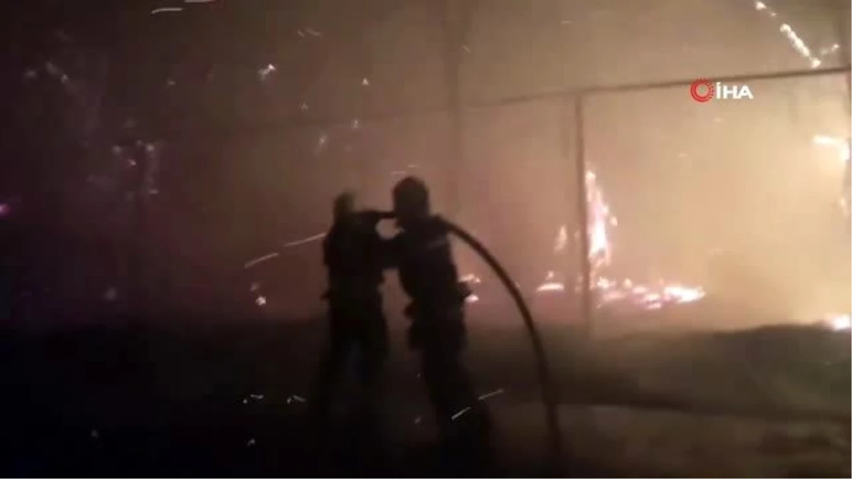 Ukrayna\'da orman yangını: 4 ölü, 10 yaralı