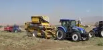 Yer fıstığı üretimindeki rekor artış Şırnaklı üreticinin yüzünü güldürdü