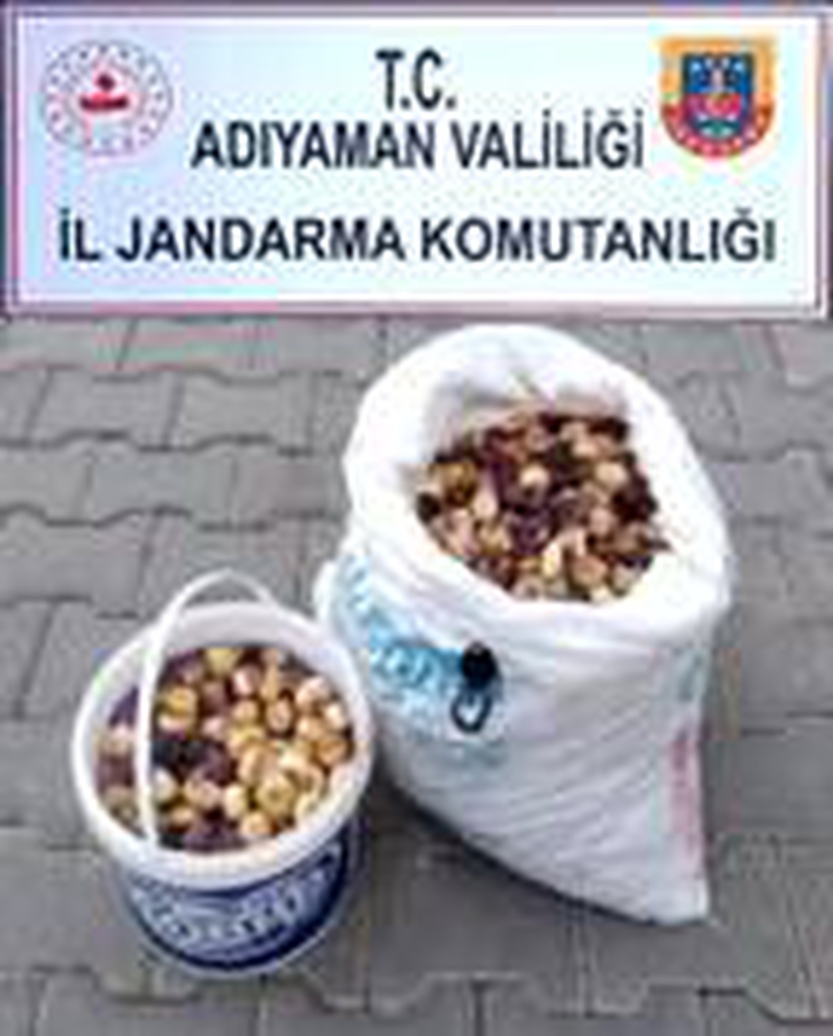 35 kilo incir çalan şüpheli, tutuklandı